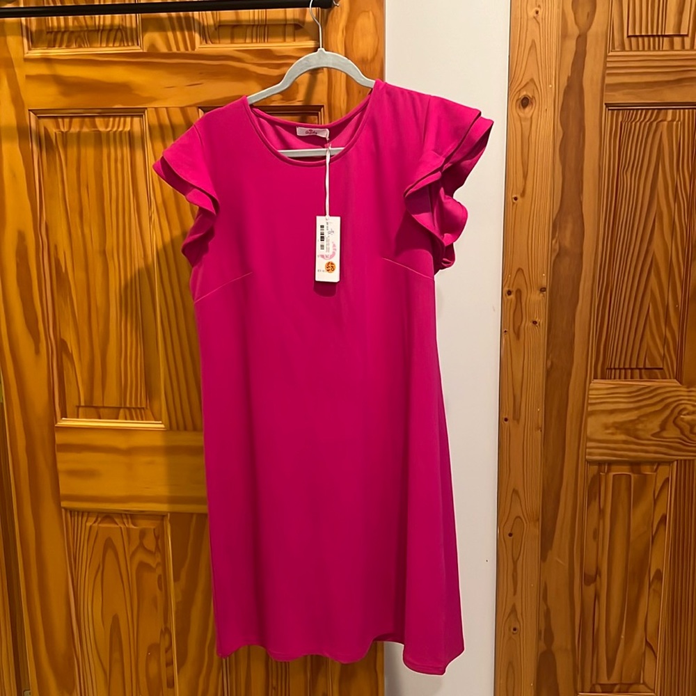 BNWT Aryeh Flutter Sleeve Pink Dress XL
